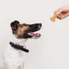 Goat Milk Dog Treats