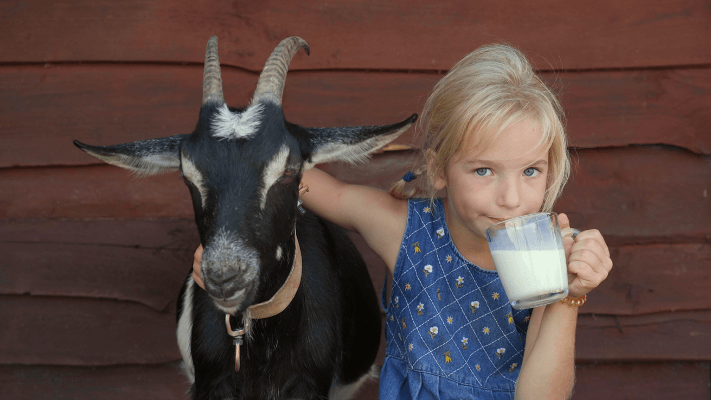 Why the A2 Protein Makes Goat Milk Such a Game Changer