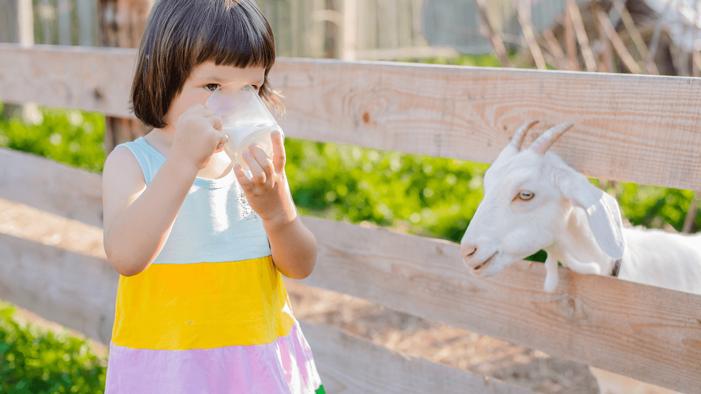 What Does Goat Milk Taste Like?