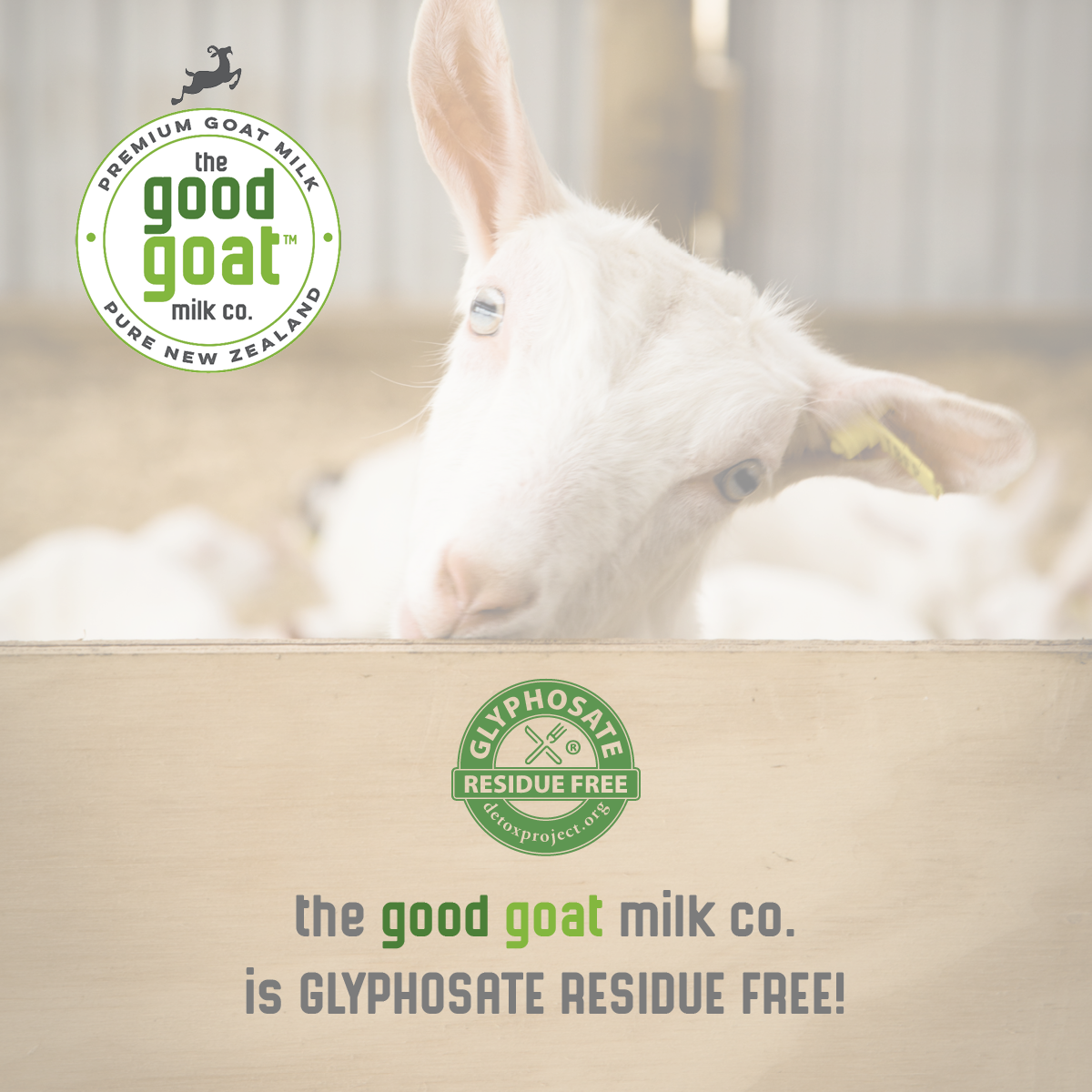 Natural, Full Cream Goat Milk Powder Good Goat Milk Company
